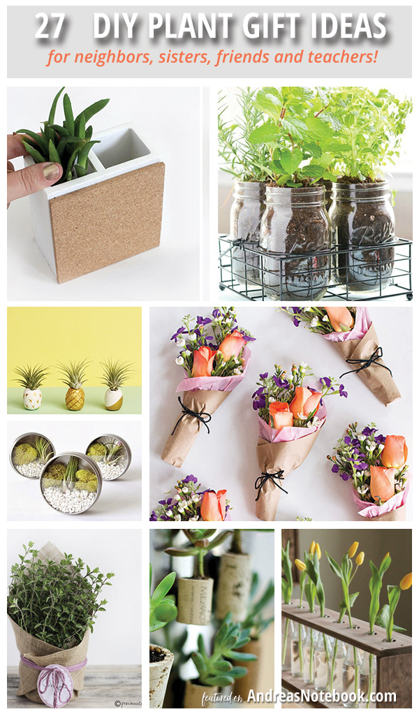 Diy gifts store for plant lovers