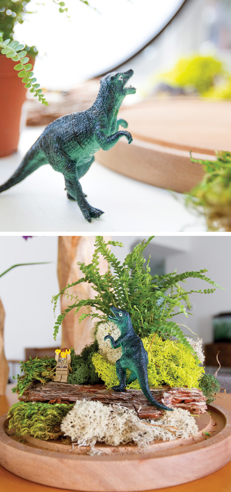 How to make a dinosaur fairy garden