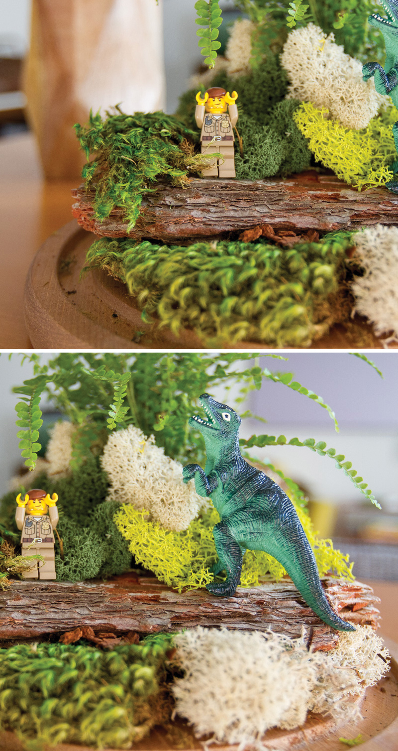 jurassic-park-fairy-garden-3