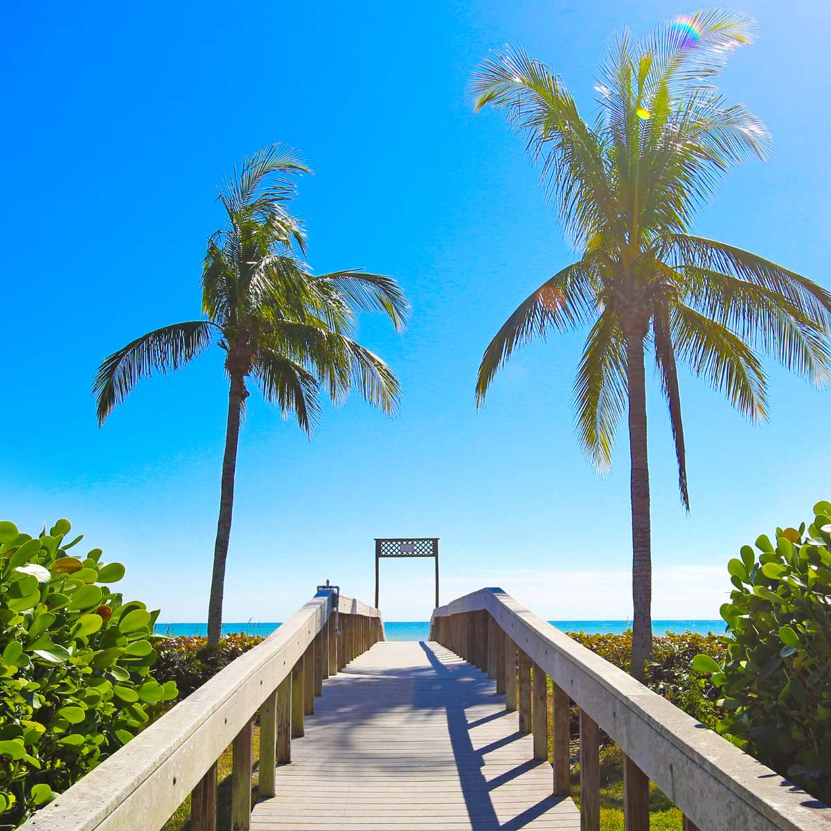 Warm winter beach vacation with palm trees and a boardwarlk.