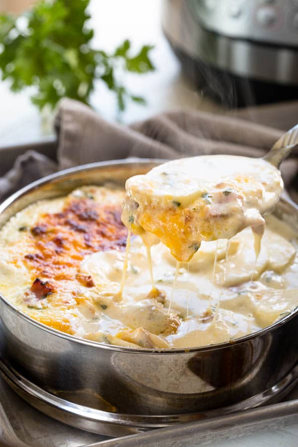 instant pot scalloped potatoes spoon bowl