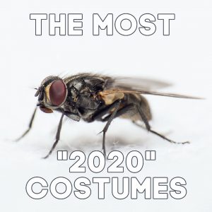 fly 2020 costumes