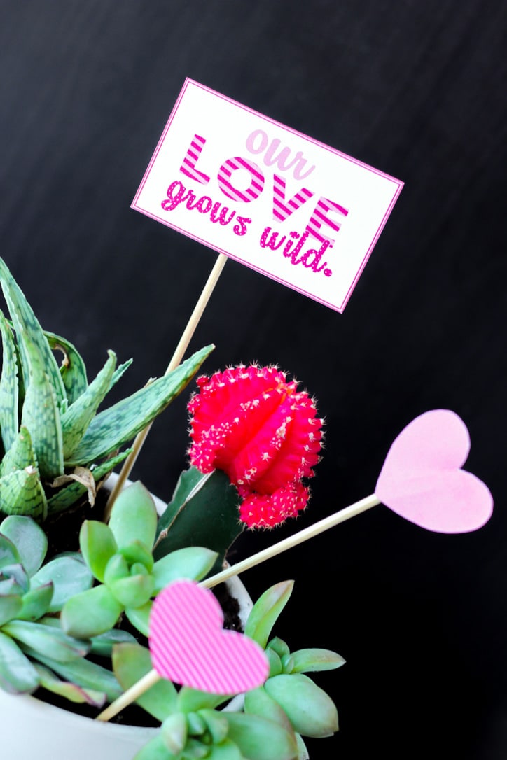 "our love grows wild" sign in potted plant