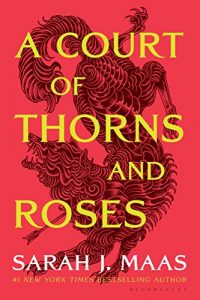 book cover of A Court of Thorns and Roses by Sarah J Maas