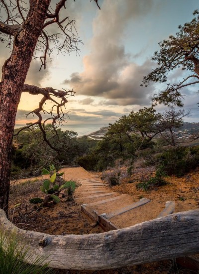 Best hikes in san diego - Torrey Pines hike - Los Penasquitos canyon trail, cedar creek falls and more. This image is of a beautiful golden hour at Torrey Pines State Nature Reserve. A trail going down a hill with steps and the Pacific ocean in the background.