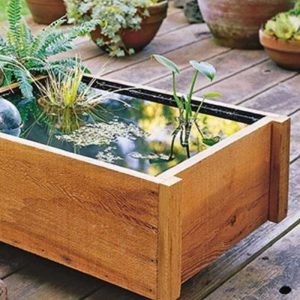 wood rectangular pond on wood deck