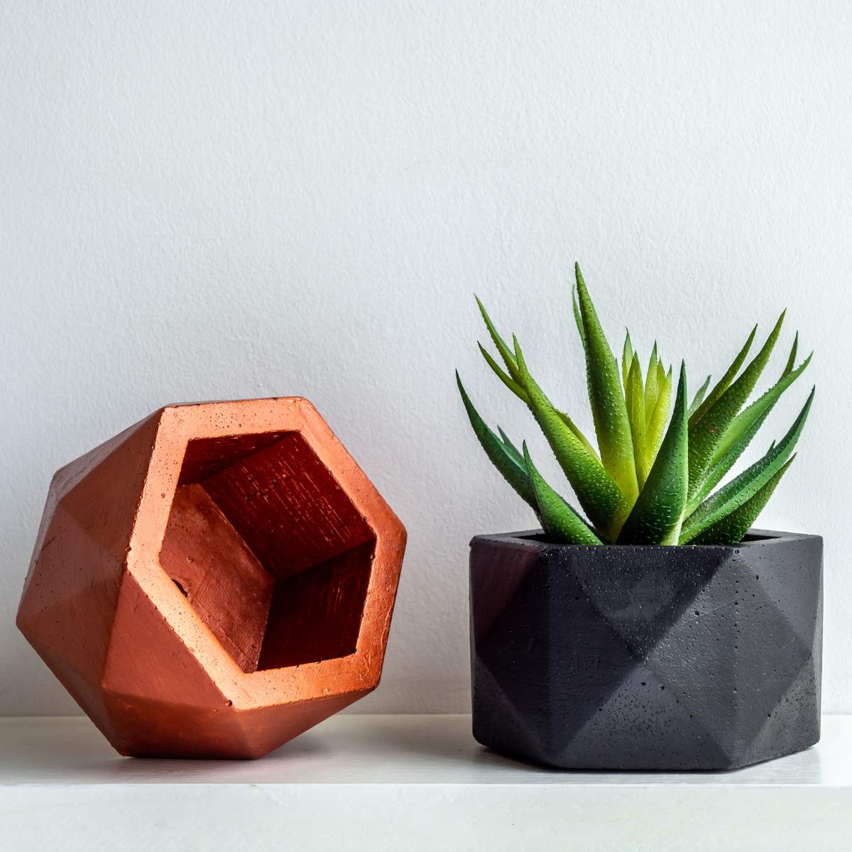 Black and copper painted hexagon shaped plant pots.