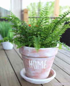 Painted flower pot with stenciled "home" on it.