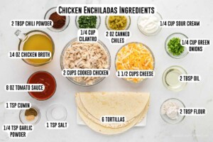 Chicken enchiladas and red sauce ingredients in bowls.