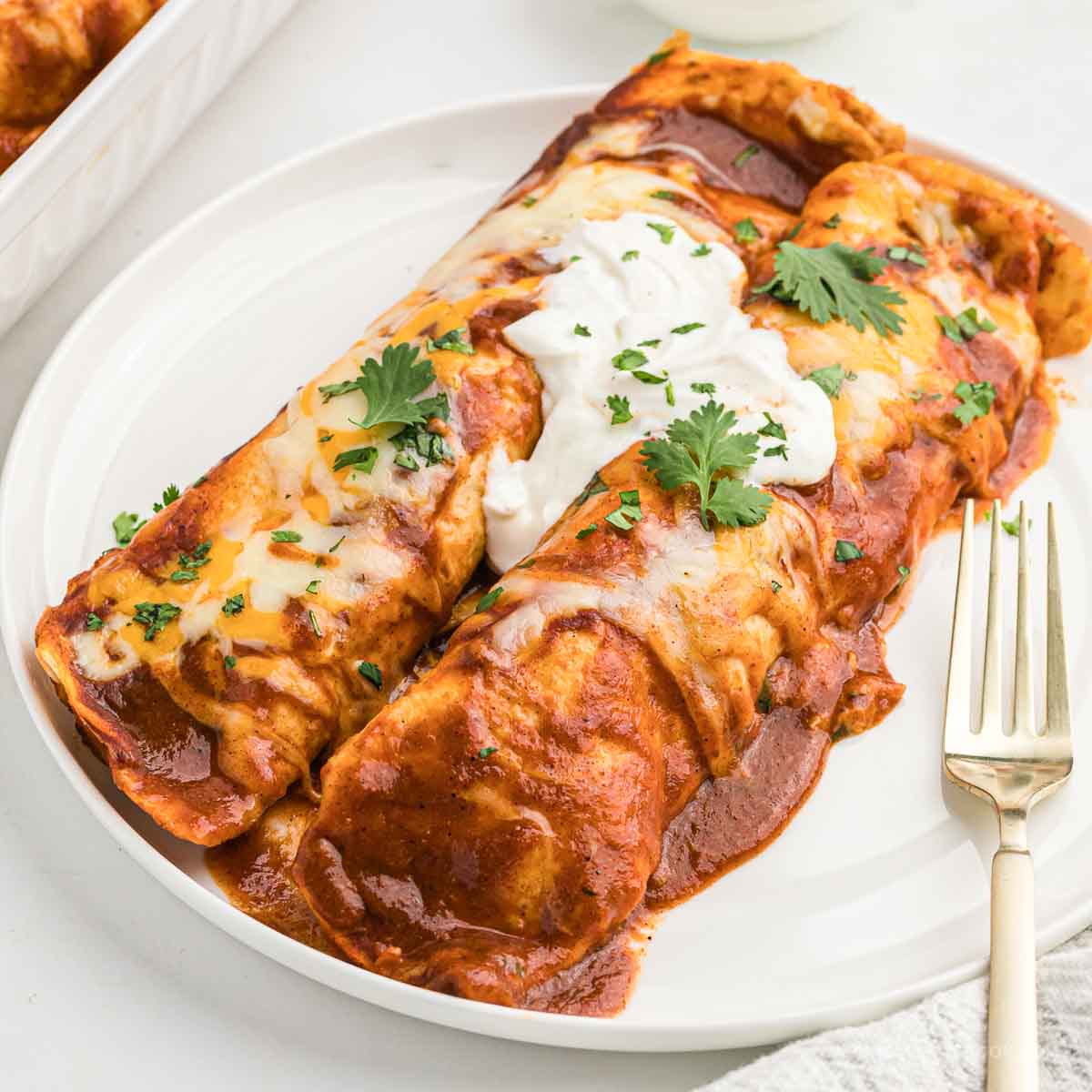 Plate of two chicken enchiladas in red sauce.