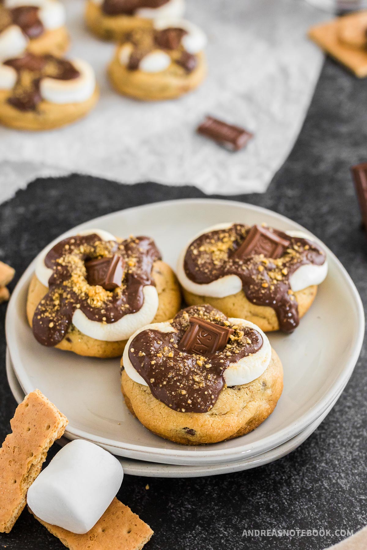 Plate with 3 s'more cookies.