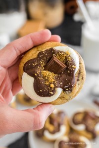 Hand holding s'mores cookie.