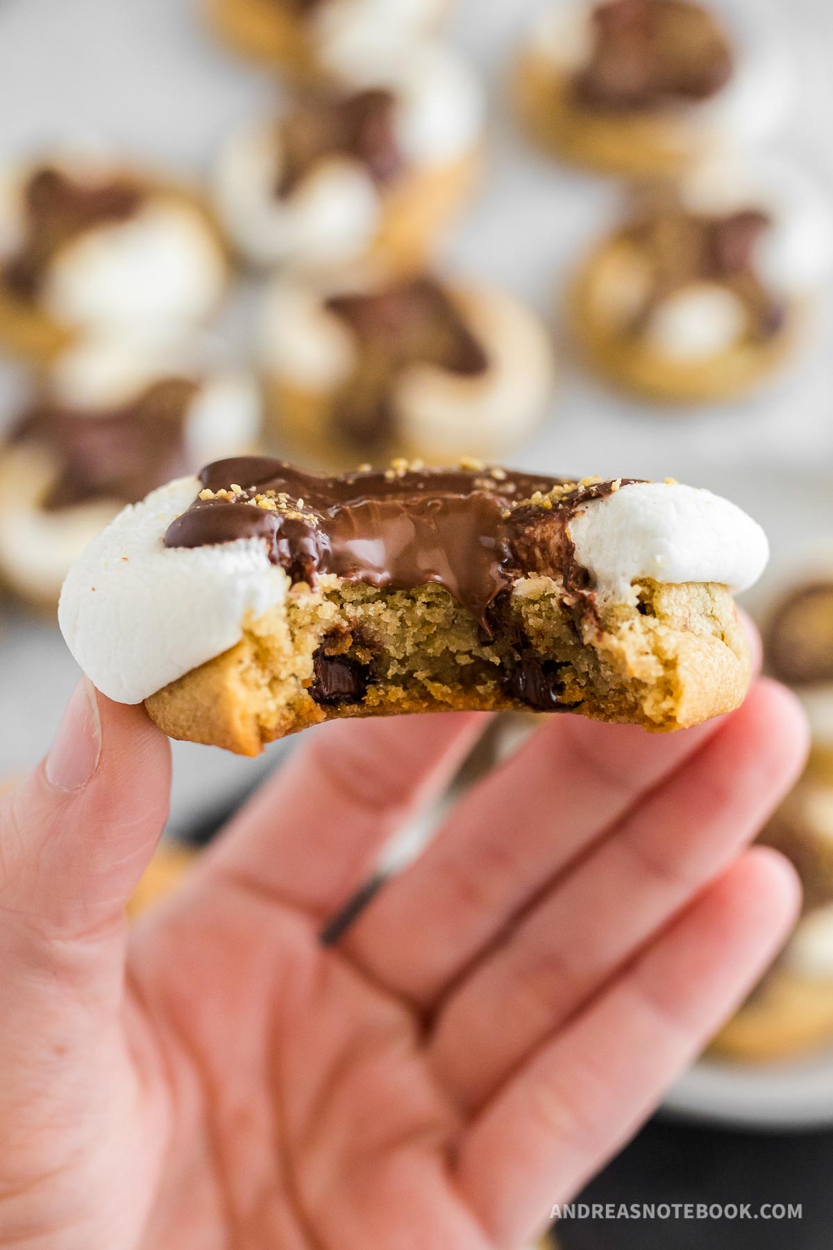Hand holding a s'more cookie.