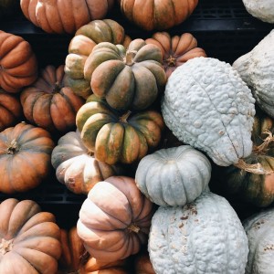 Pile of different types of pumpkins.