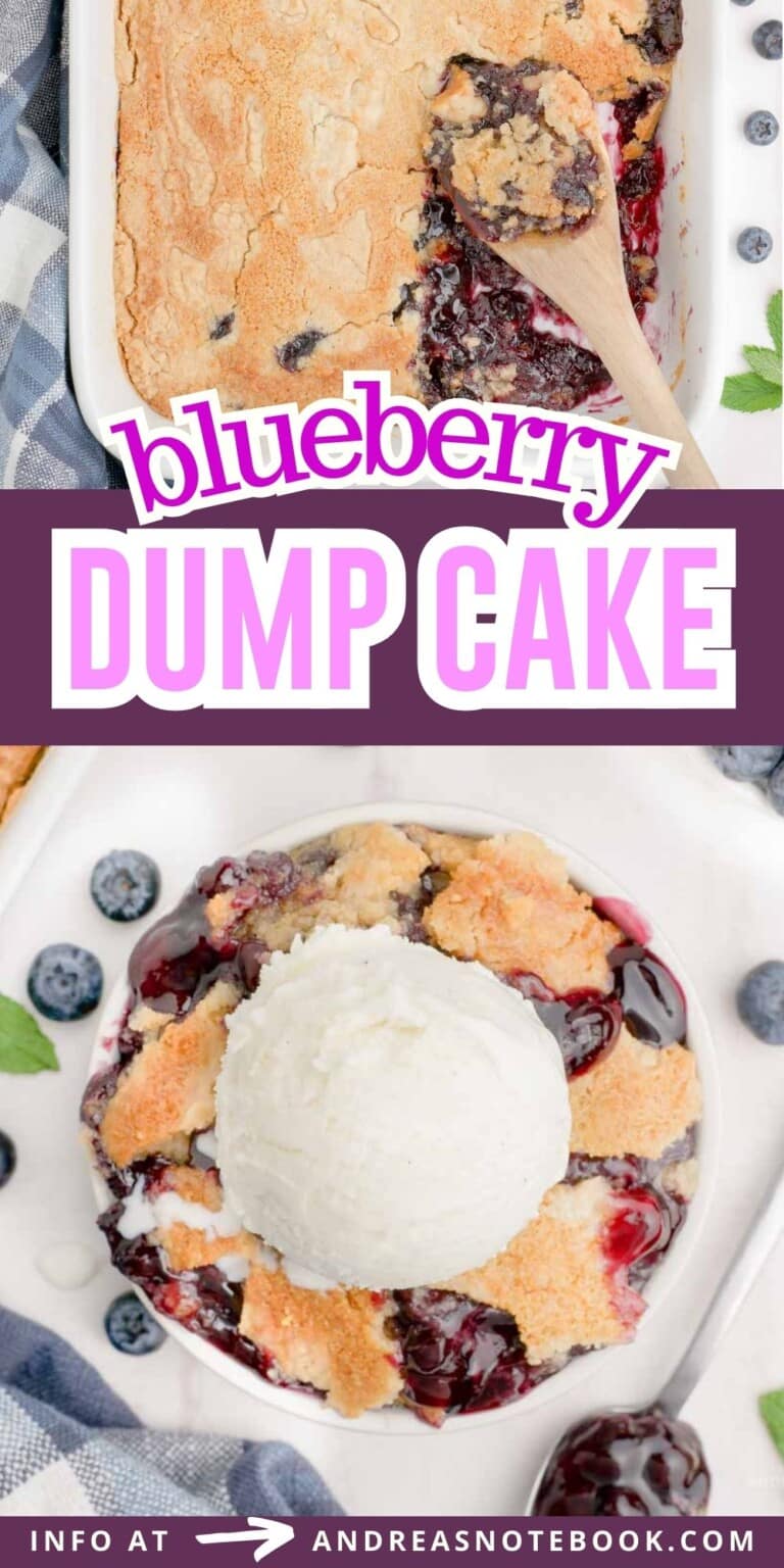 3 ingredient blueberry dump cake recipe - Andrea's Notebook