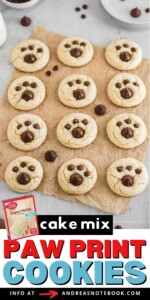 12 bear paw cookies on parchment paper.