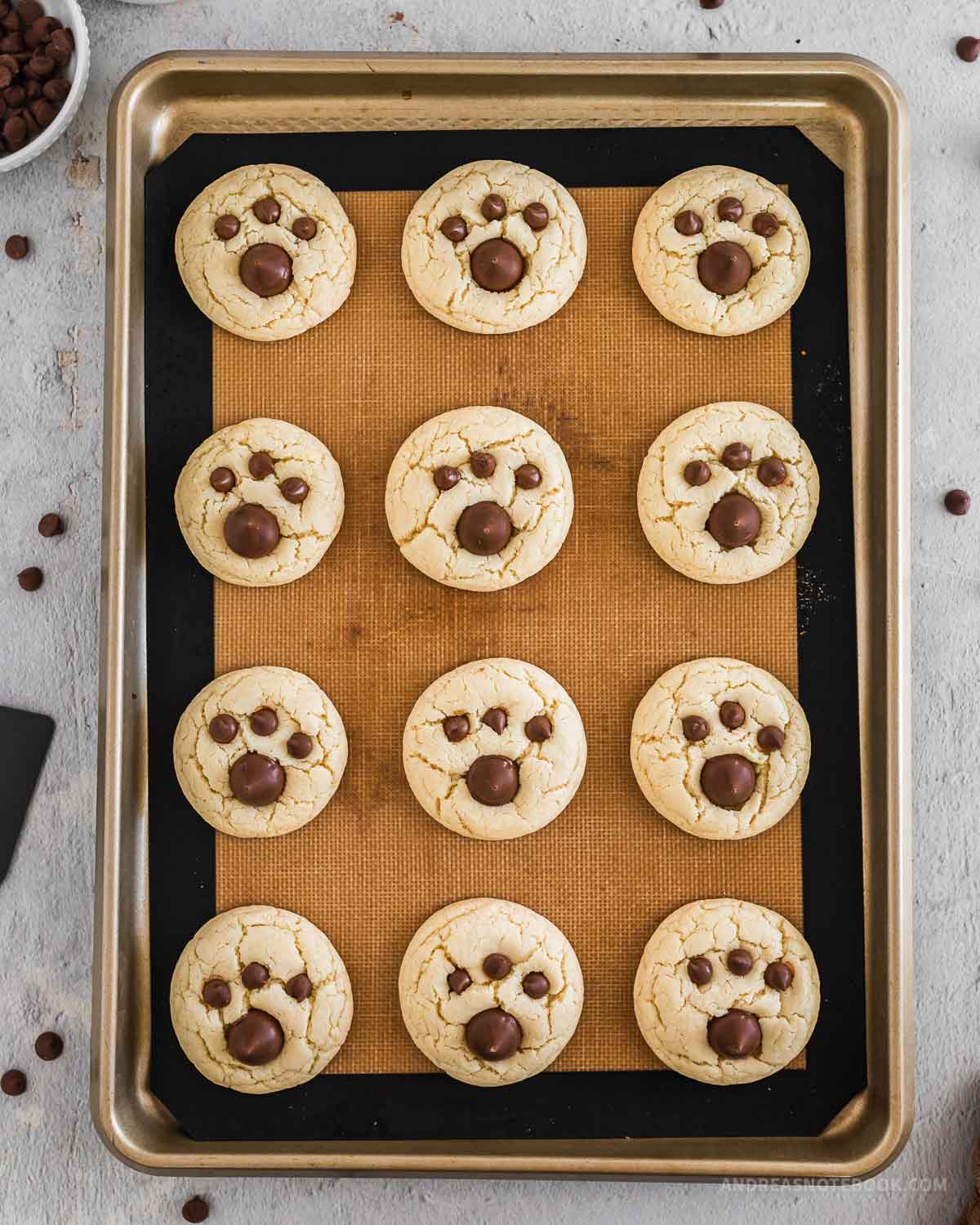 1 hershey kiss and 3 chocolate chip pressed into each of the 12 cookies to make a little bear paw.
