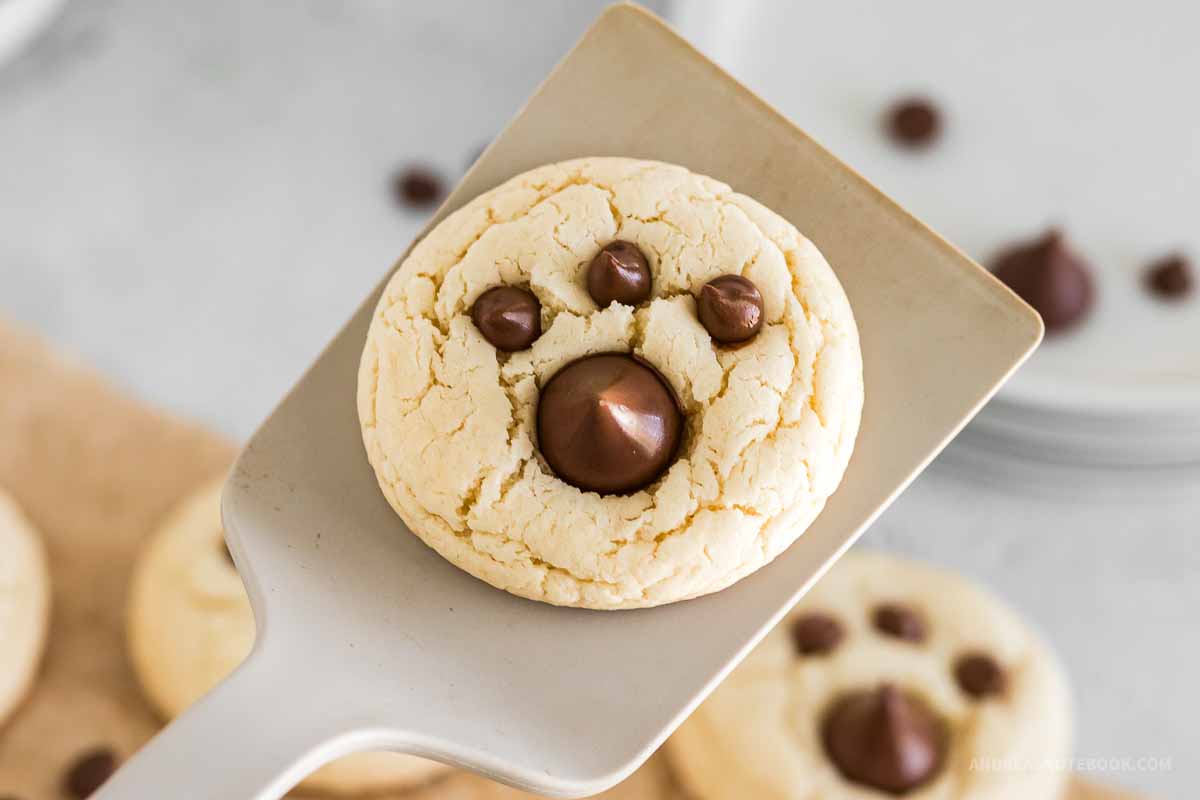 One bear paw cookie on a silver spatula.