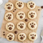12 round white cake mix cookies with hershey kisses and chocolate chips on top making paw print cookies.