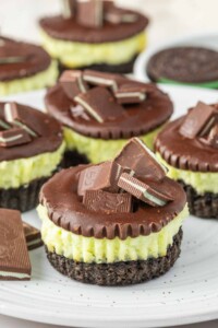 5 mini andes chocolate cheesecake cupcakes on a platter with andes mint on top.