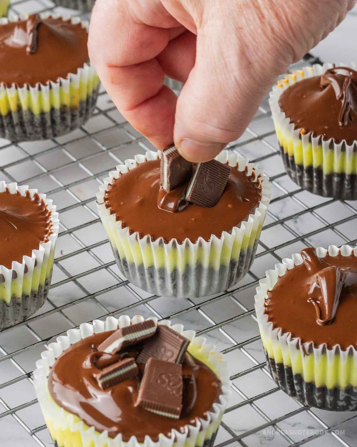Andes mint being hand placed on top of mini mint chocolate cheesecakes.