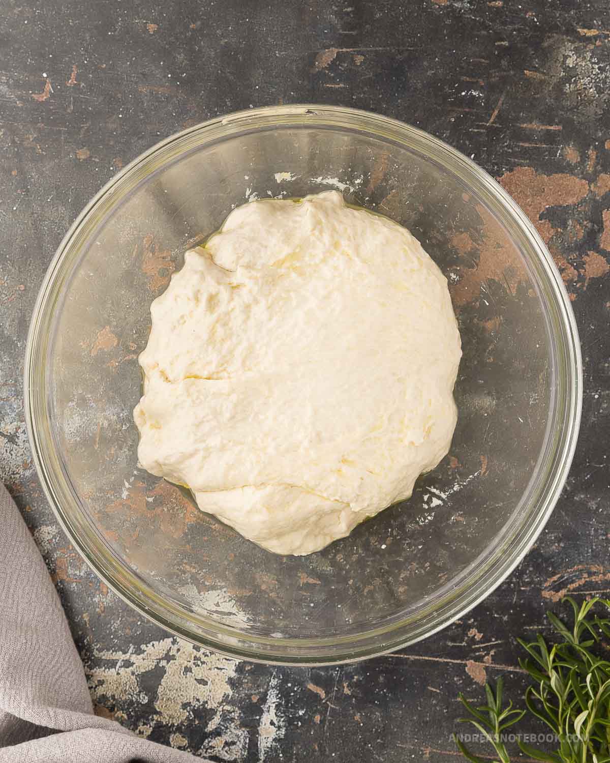 Kneeded focaccia bread dough in an oiled bowl.