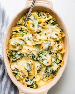 Oval casserole dish full of chicken alfredo stuffed pasta shells with spinach and covered in cheese.