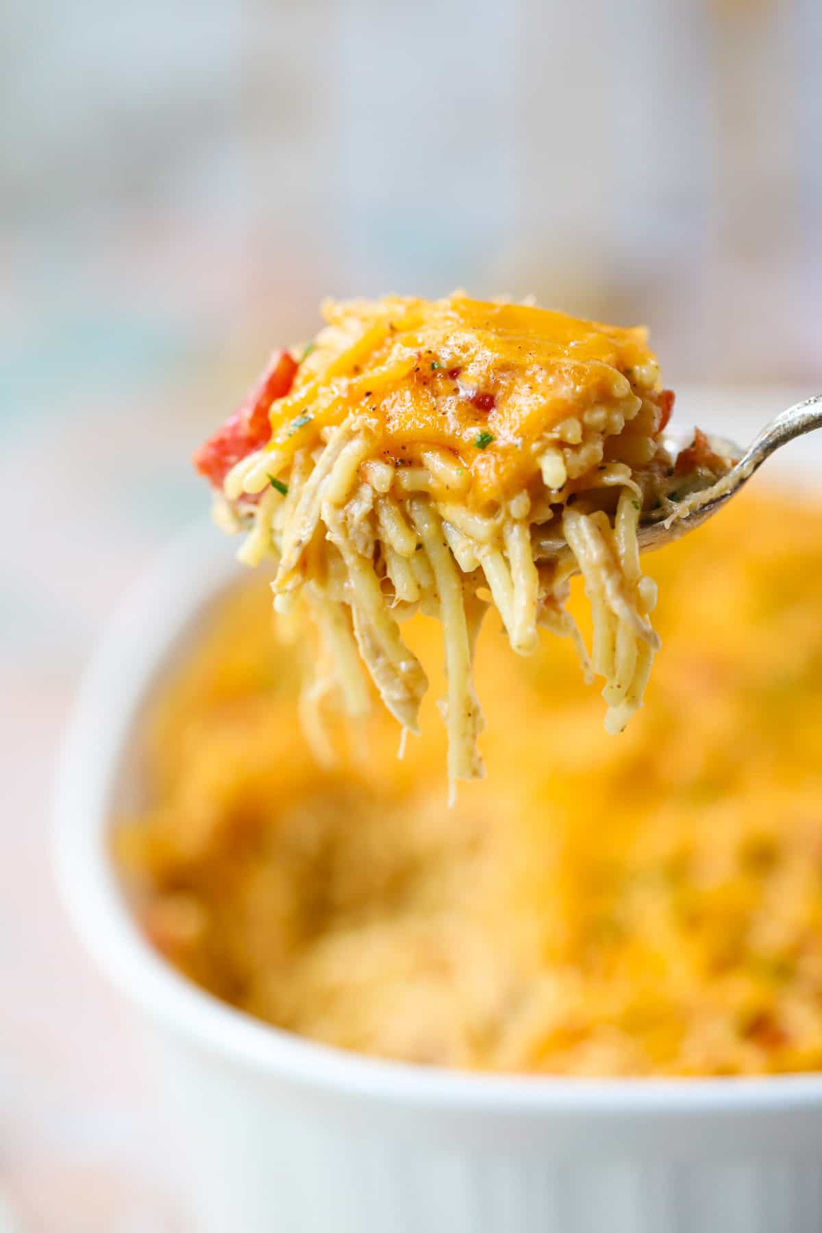 Fork full of chicken spaghetti covered in cheese.